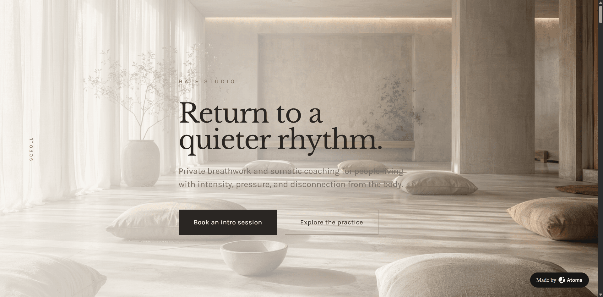 Preview of Wellness & Breath Coach